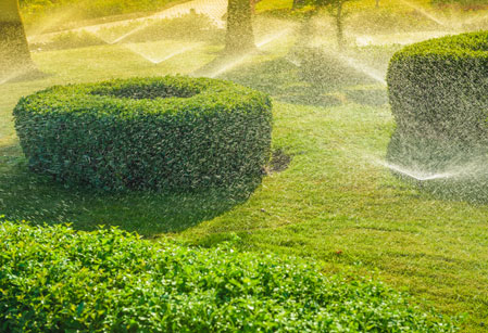 Instalacion de riego en guadalajara | Floresdjardin