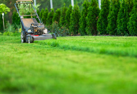 Mantenimiento de jardines en Guadalajara | Floresdjardin