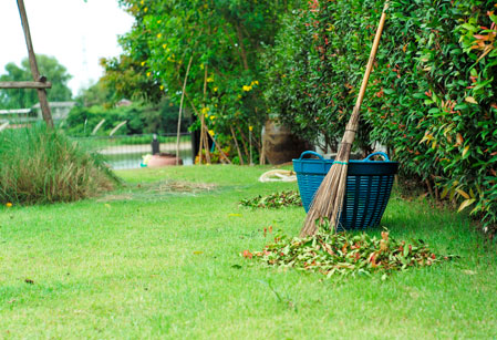 Mantenimiento de jardines en Guadalajara | Floresdjardin