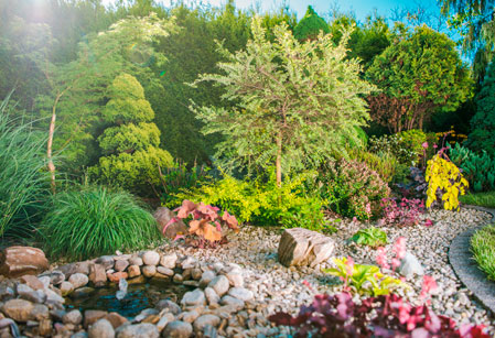 Reforma de jardín en guadalajara | Floresdjardin