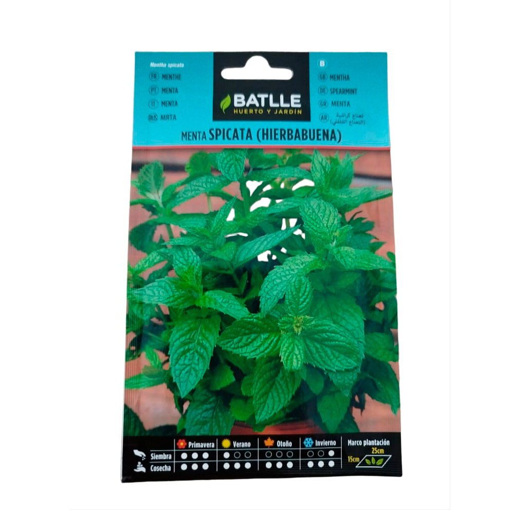 Jardín Express Mini - Imagen 4