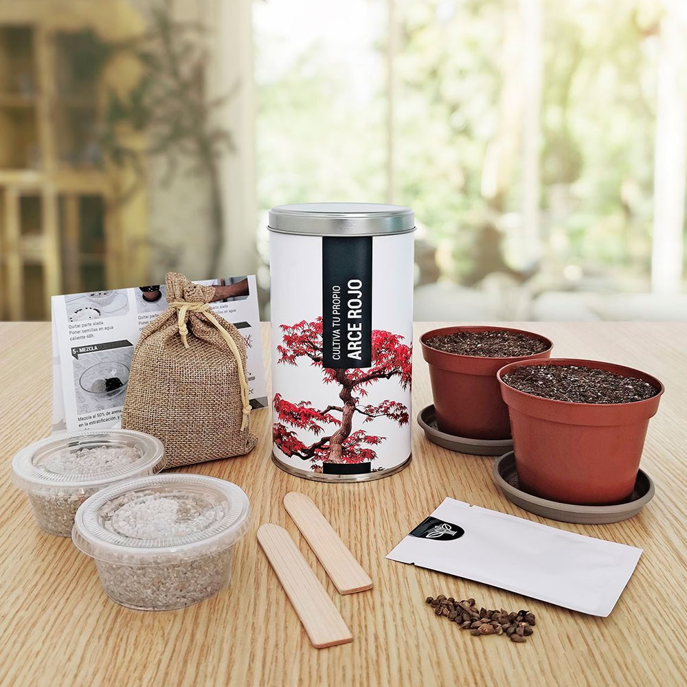 Pack “suerte y decoración “