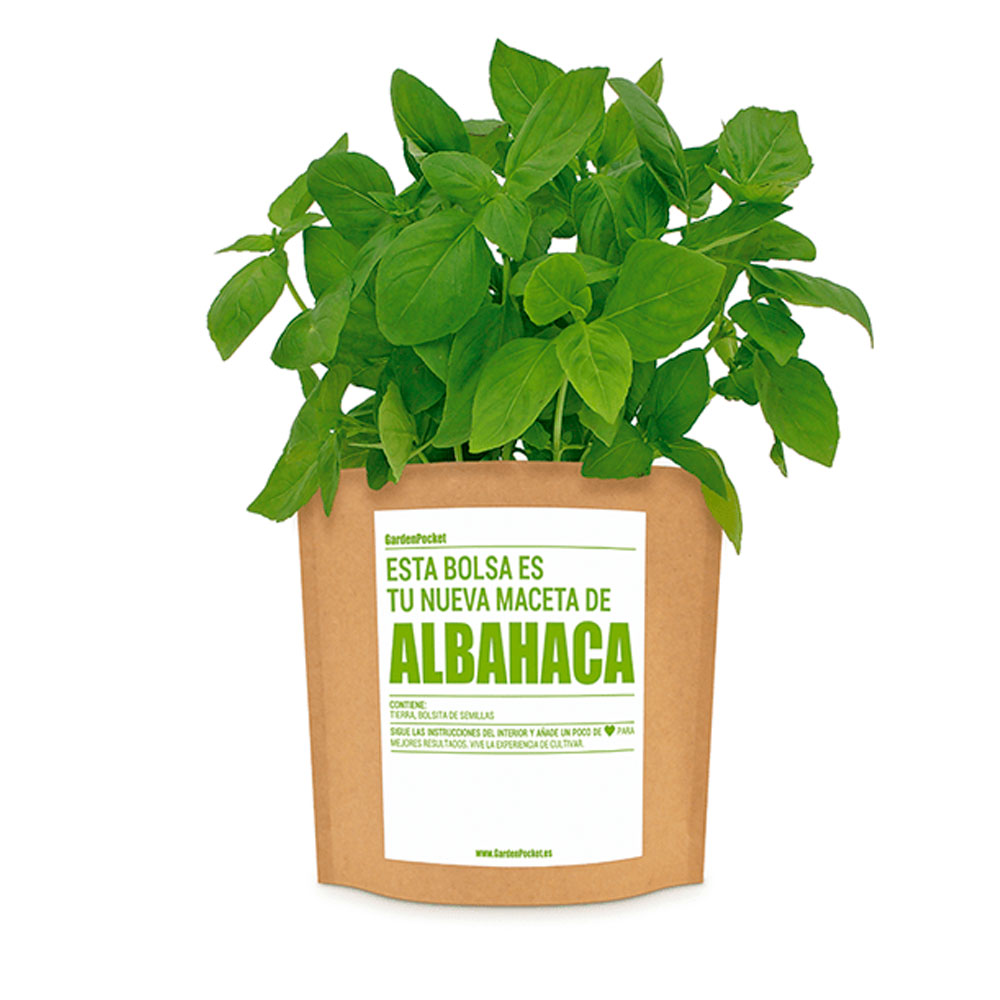 Pack “ Huerto urbano y decoración “ - Imagen 2